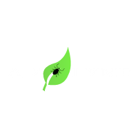 A – Z on Lyme Disease
